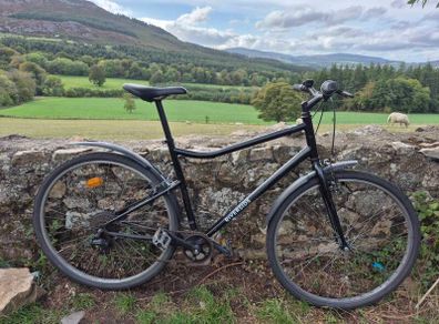 Men's Riverside Bicycle