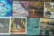 Vinyls