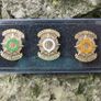 Irish Easter Rising, Independence, Civil War Badges Image 3