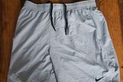 Nike Dri-Fit Shorts Mens XL