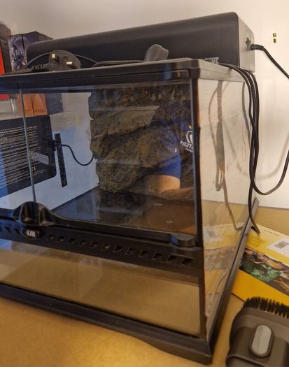 Exo terra reptile tanks