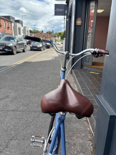 Temple Unisex Step through Bicycle