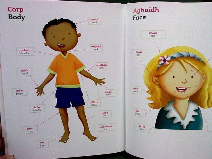 Collins very first Irish Dictionary Ireland Irish language Gaeilge