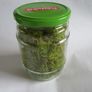 Jar of spring Green Reindeer Moss (Lichen) Image 3