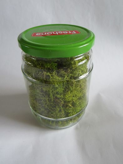 Jar of spring Green Reindeer Moss (Lichen)
