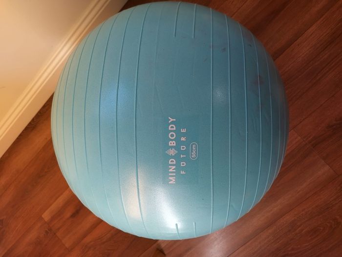 Pregnancy balance ball