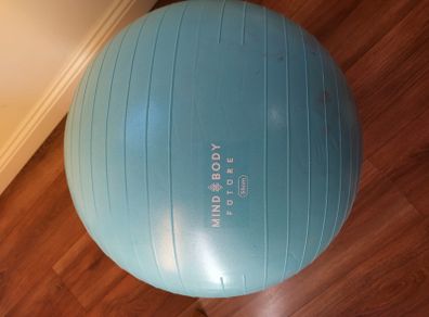 Pregnancy balance ball