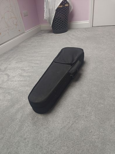Violin