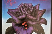 Thin lizzy. Original 1979 release Black Rose in vg+ condition