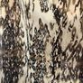 Oasis dress - sz 10 Image 2