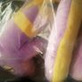 Pokemon Ekans Snake 22cm Official Plush w/tag 2 for 30 offer Image 3
