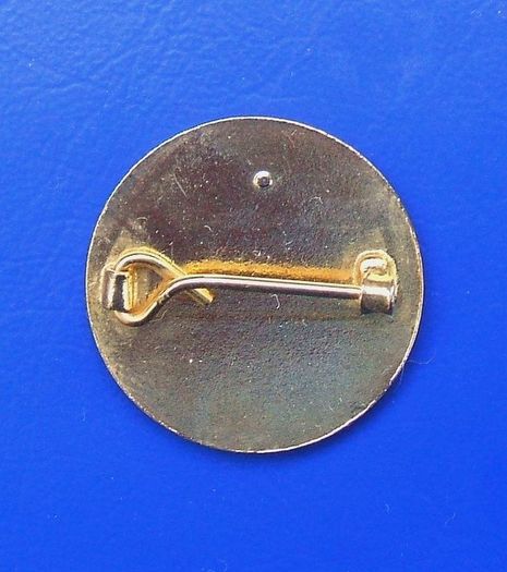 WELSH BEEKEEPER'S ASSOCIATION (CGC - WBA) - membership enamel badge (1970's / 1980's). A scarce badge.
