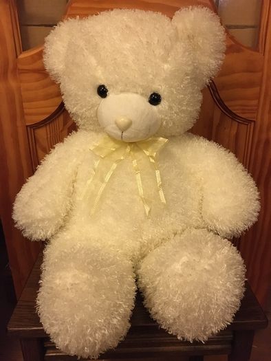 Teddy Bear Plush Toy White