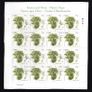 2006 Ireland Fauna & Flora Native Trees Commemorative Stamp Sheetlet 48c & 60c Plate 1A1A1A1A and 75c & E1 Plate 1B1B1B1B Fine CDS Used with Dublin cancel of 25th October 2007 (First day of issue) Image 3