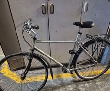 silver Marin mens bike