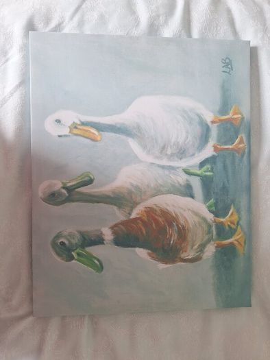 Picture, Ducks