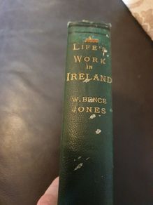 Life's Work In Ireland 1st Edition 1880