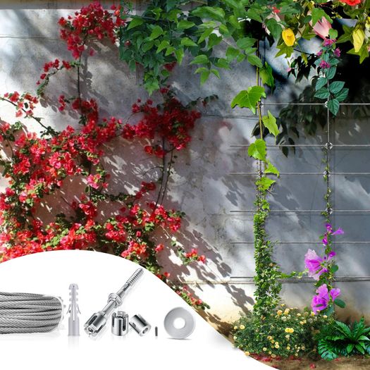 Plant Support,T316 Stainless Steel Trellis for Climbing Plants, Professional System with Wall Brackets 16Holders, 24 m Rope