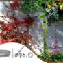 Plant Support,T316 Stainless Steel Trellis for Climbing Plants, Professional System with Wall Brackets 16Holders, 24 m Rope Image 8