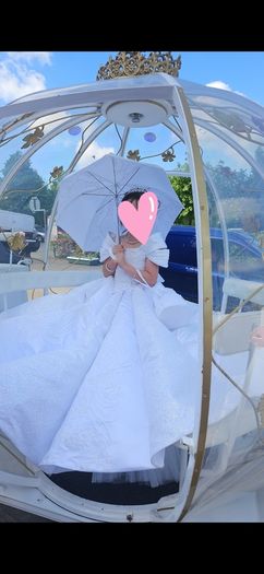 My fairy god mother communion dress