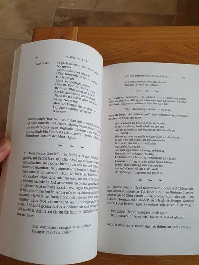 Fili An tSulain by Padraig O'Tuathaigh.