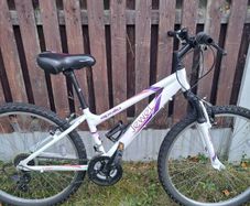 14" girls bike