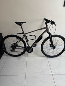 giant roam