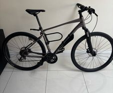 giant roam
