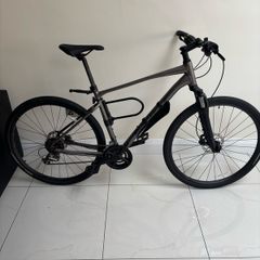 giant roam