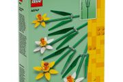 Lego Botanicals  Daffodils 40747