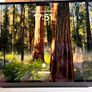 Apple Macbook Air 2025 M4 256gb Image 4