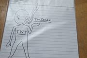 Tortoise "TNT" vinyl record