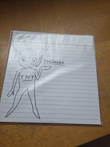 Tortoise "TNT" vinyl record