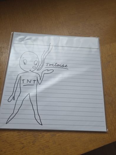 Tortoise "TNT" vinyl record