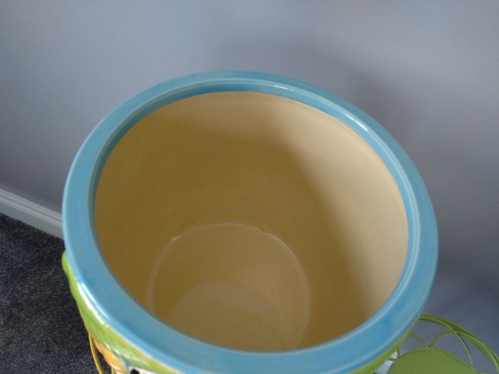 Heavy Ceramic Tropical Plant Pot