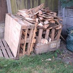 Free firewood