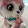vtech Hope The Rainbow Husky Image 8