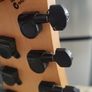 Harley Benton R-457 BK Progressive Series Image 7