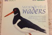 Wonderful Waders    RTE Radio1 CD
