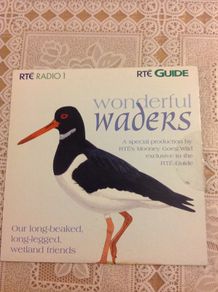 Wonderful Waders    RTE Radio1 CD