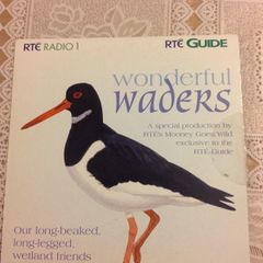Wonderful Waders    RTE Radio1 CD