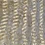 Antique cane bergere chair Image 4