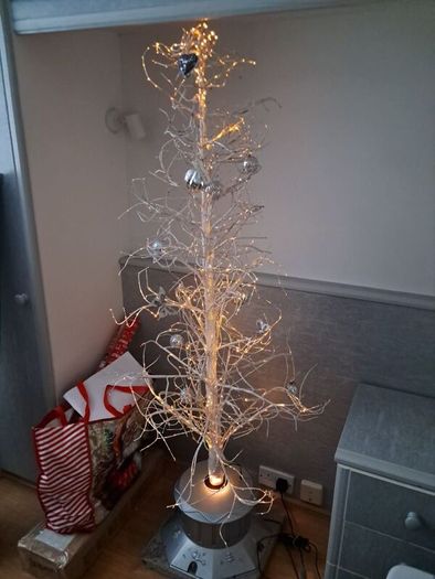 outdoor Christmas tree