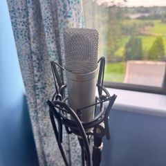 Rode Nt-1a