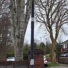 Basketball Hoop