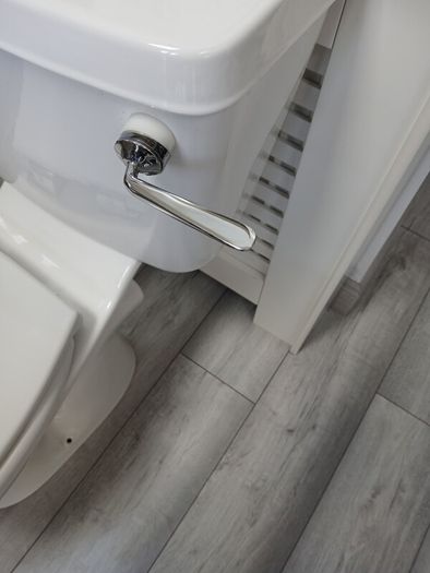 saniflo and toilet