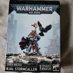 Games Workshop Warhammer 40k Space Marines Space Wolves Njal Stormcaller