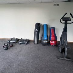 Boxing  Bags.  Carry Weights
