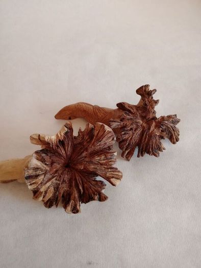 Hand Crafted Wooden Lizards x 2