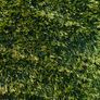artificial grass Image 5